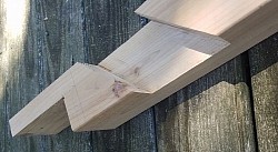 Specialty Cuts